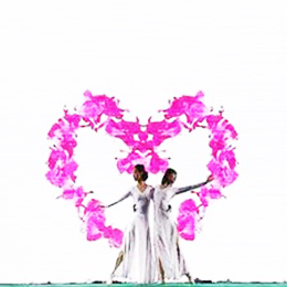 Vҕlݳ(jng)o˾